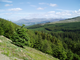 whinlatter forrest  june 2010 007.jpg